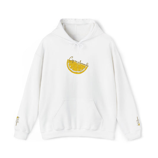 Copy of Copy of Unisex Heavy Blend™ Hooded Sweatshirt